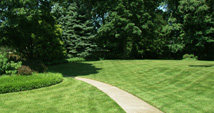 Freshly gut grass in Bethesda, MD